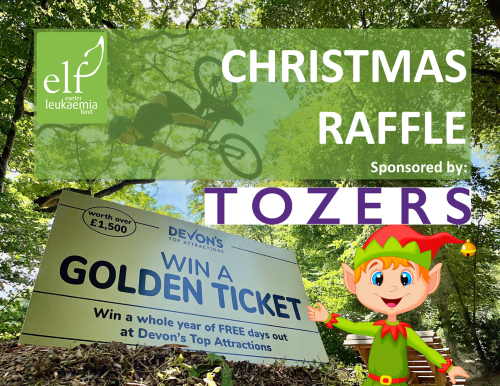 ELF Christmas Raffle 2024